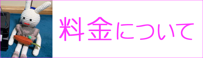 趣味の大人コース